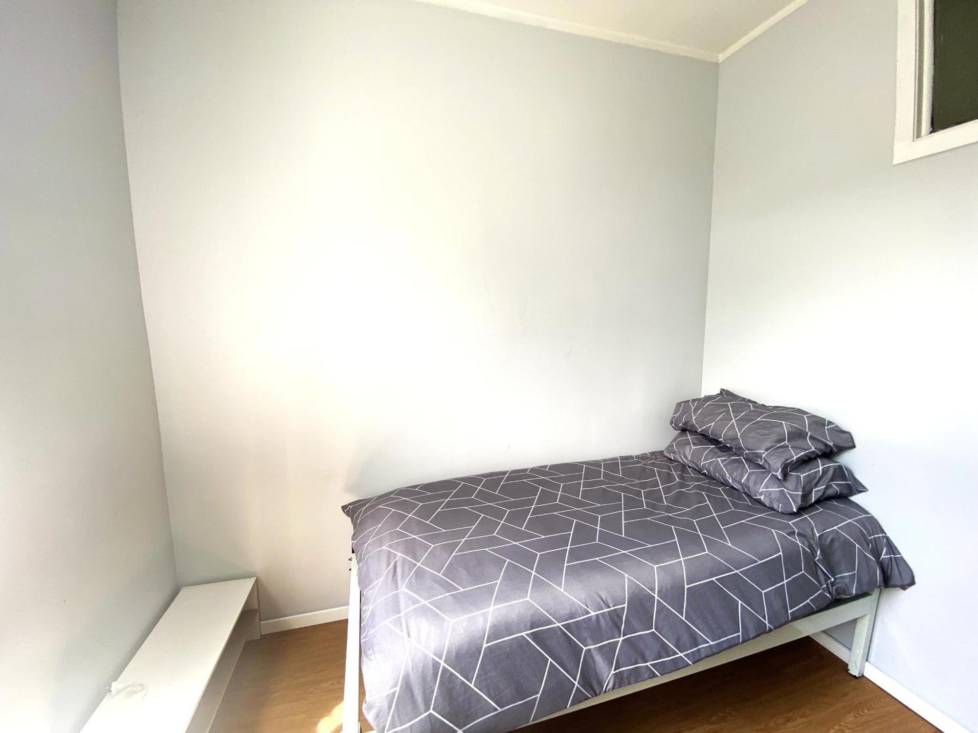 215 Edinburgh Castle Hostel Оукланд Екстериор снимка